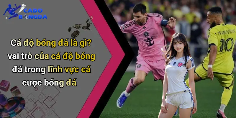 Cá độ bóng đá 67 Cá Độ Bóng Đá