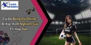 Cá Độ Bóng Đá Online