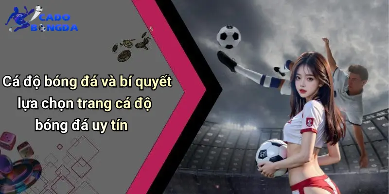 Cá độ bóng đá 68 Cá Độ Bóng Đá