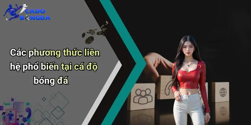 Liên Hệ 2 Liên Hệ