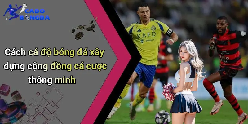 Cá độ bóng đá 69 Cá Độ Bóng Đá