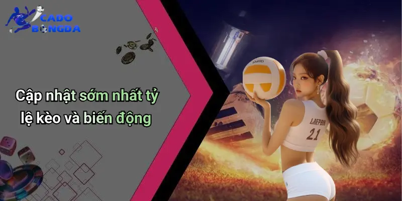 Tin Tức