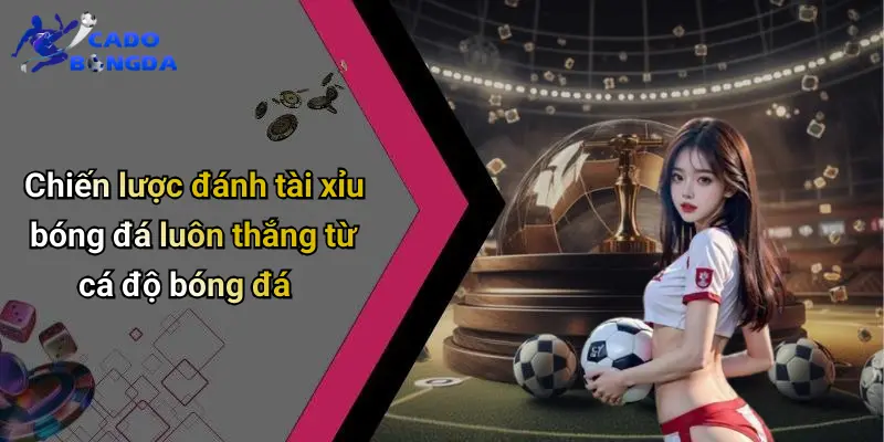 Cách Đánh Tài Xỉu Bóng Đá: Bí Quyết Phân Tích Cá Độ 2 Cách Đánh Tài Xỉu Bóng Đá