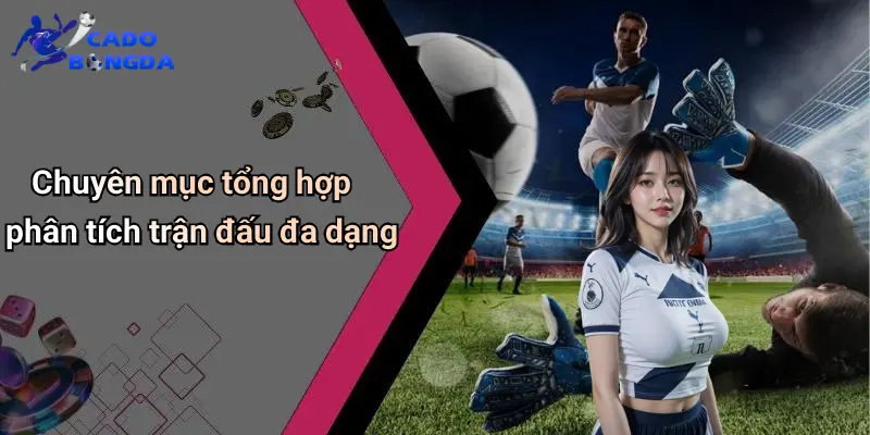 Tin Tức