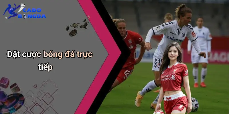Cá độ bóng đá 71 Cá Độ Bóng Đá