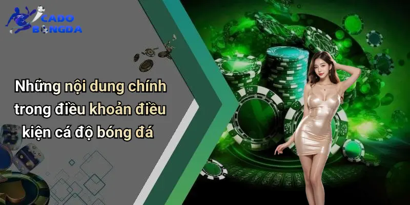 Điều Khoản Điều Kiện 2 Điều Khoản Điều Kiện