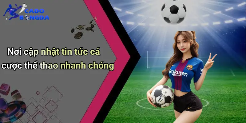 Tin Tức