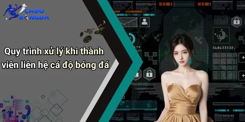Liên Hệ 3 Liên Hệ