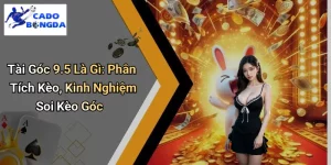 Tài Góc 9.5 Là Gì