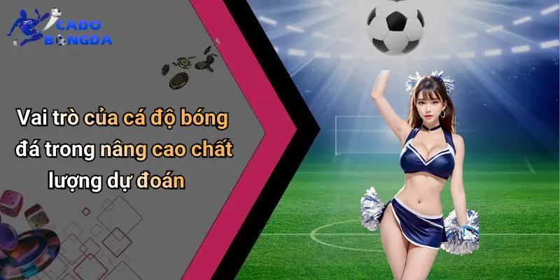 Dự Đoán 3 Dự Đoán