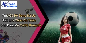 Web Cá Độ Bóng Đá Uy Tín