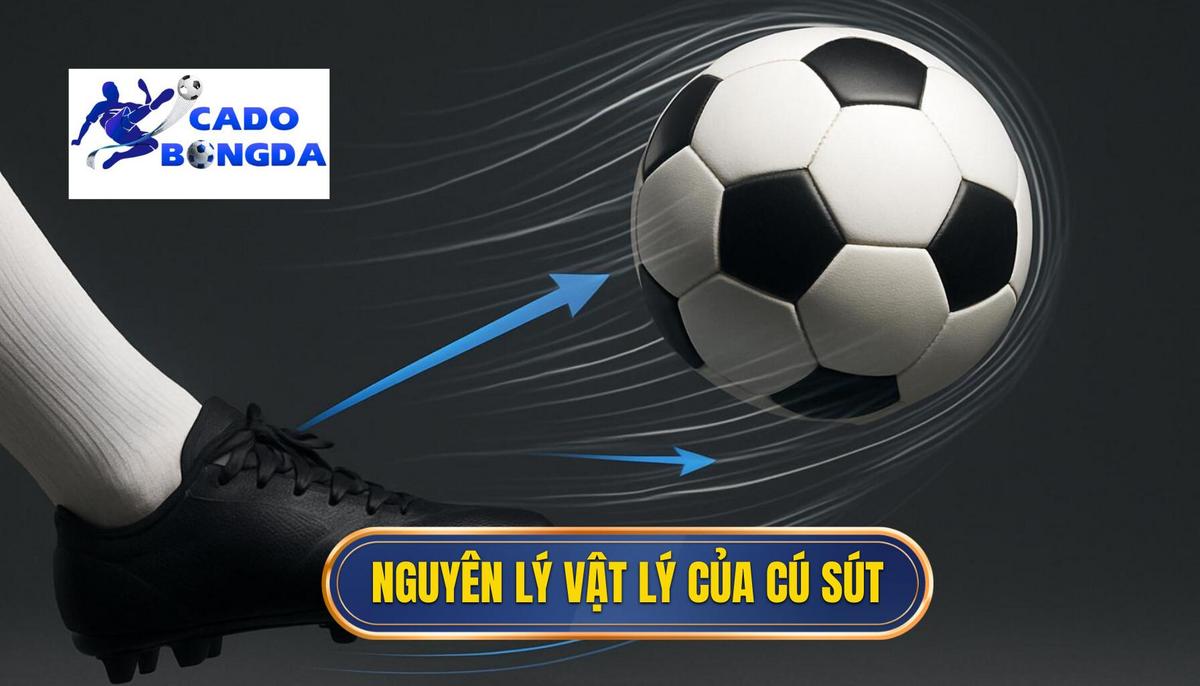 Phân tích Chuyên sâu về Kỹ thuật sút bóng bằng đầu gối trái: Vũ khí Độc đáo 2 Cơ chế và Nguyên lý Vật lý của Cú Sút