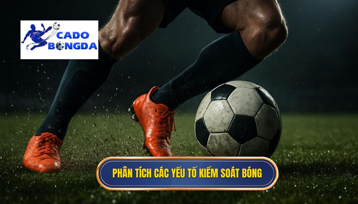 Phân Tích Chuyên Sâu Các Yếu Tố Cấu Thành Kỹ Thuật Kiểm Soát Bóng