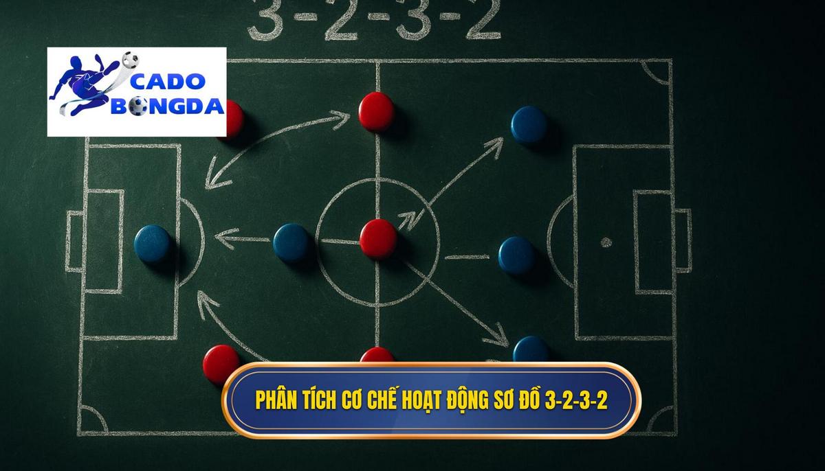 Phân tích Chuyên sâu về Cơ chế Hoạt động của Sơ đồ 3-2-3-2