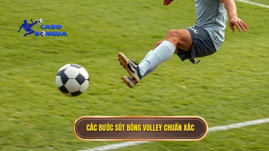 Các bước sút bóng volley chuẩn xác