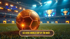 cá cược bóng đá World Cup