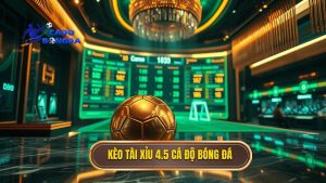 Kèo tài xỉu 4.5 toàn trận