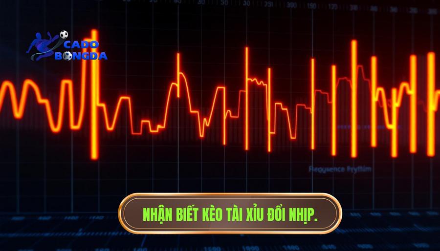 Thế nào là kèo tài xỉu bắt đầu đổi nhịp?