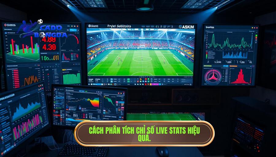 Phân tích các chỉ số thống kê (Live Stats) để soi kèo