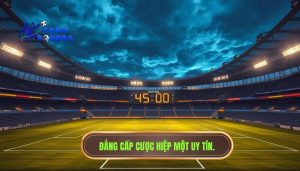 Đẳng cấp cược hiệp một uy tín.